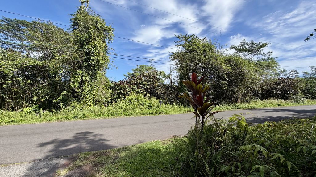 Kupono St, Pahoa
