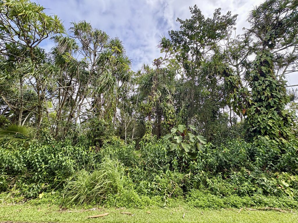 Oopu St, Pahoa