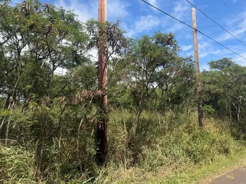 94-6285 Mark Twain St, Naalehu