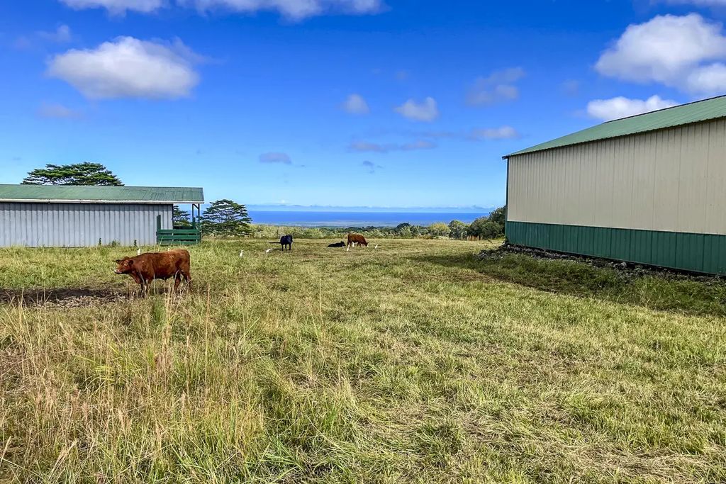 17-4870 South Rd, Kurtistown