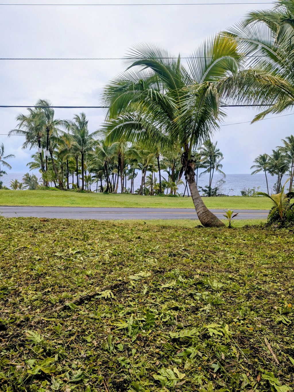 Kalihi Kai St, Pahoa