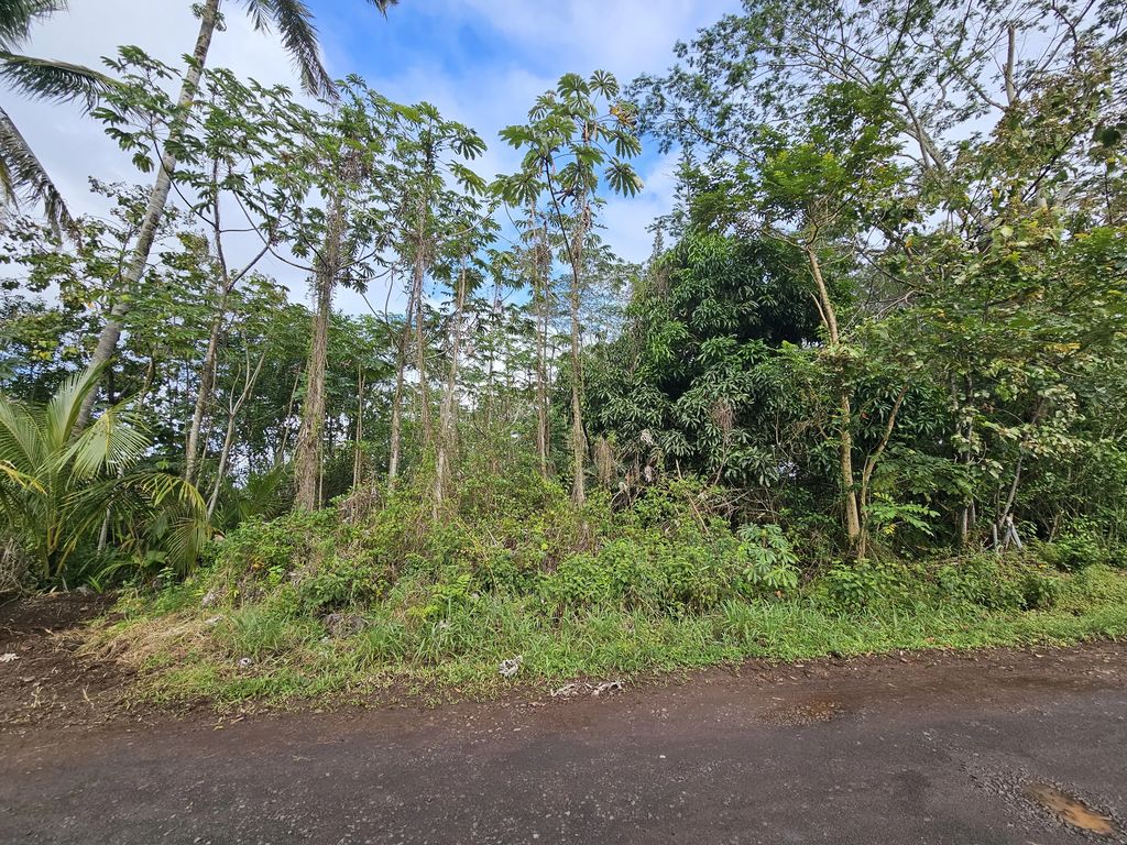 36th Ave, Kurtistown