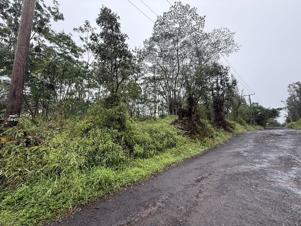 Forest Rd, Pahoa