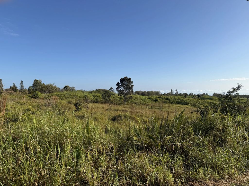 Wailani Nui Dr, Mountain View