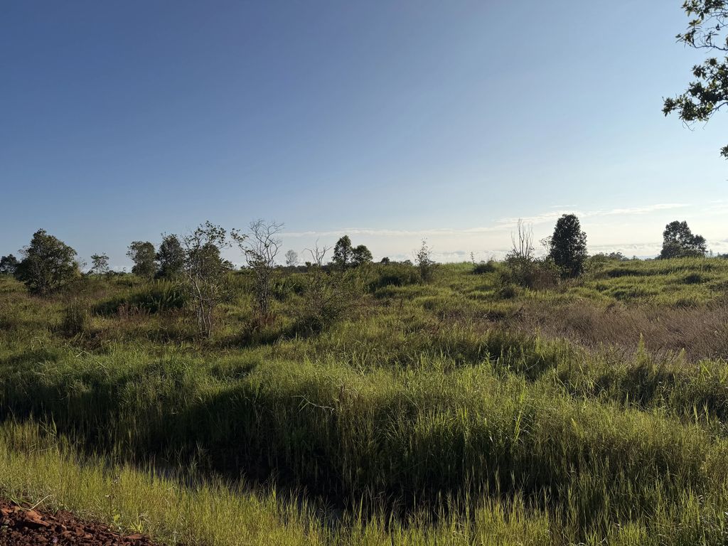 Wailani Nui Dr, Mountain View