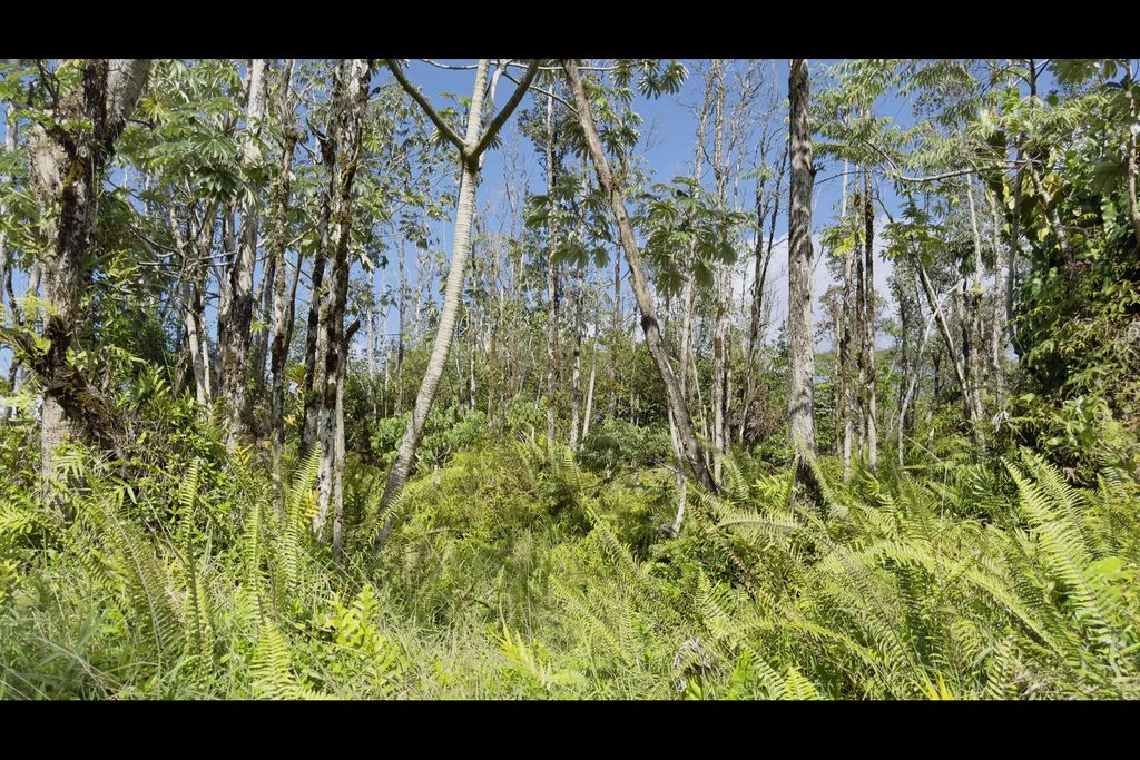 13th Ave, Keaau