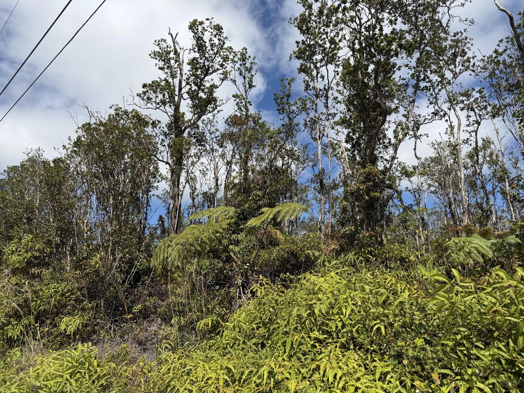 Makoa Rd, Volcano