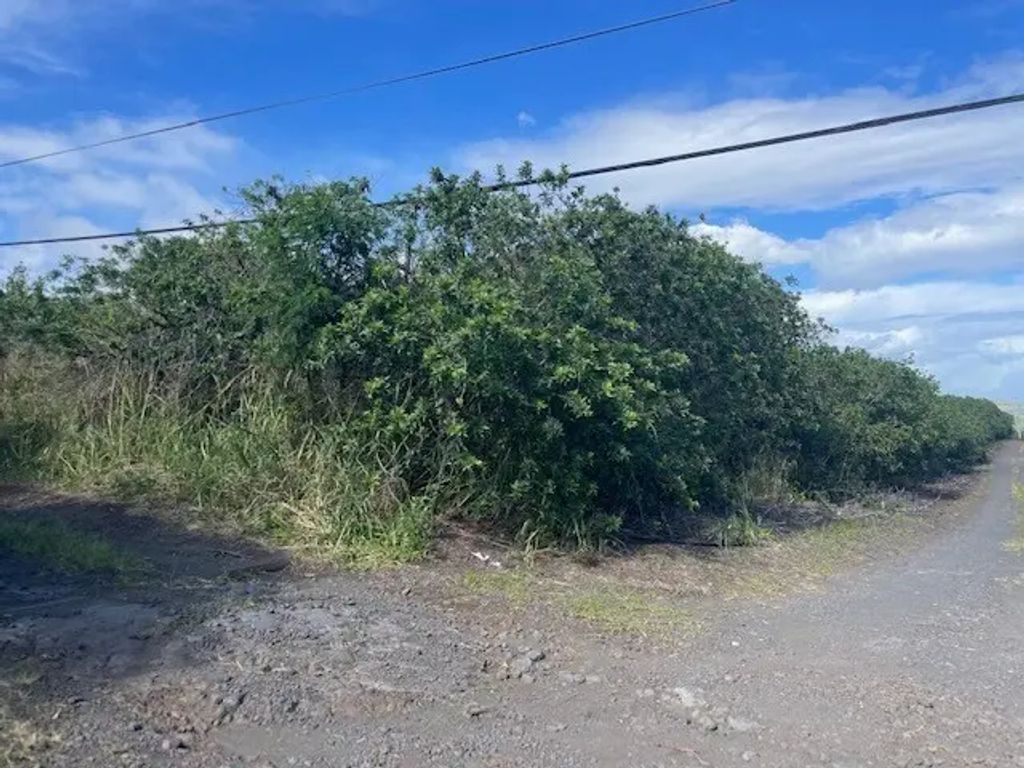 N/A, Naalehu