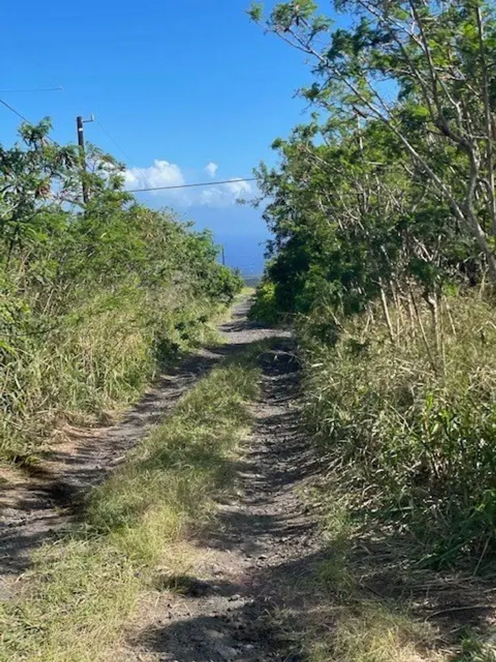 Amepela Rd, Naalehu