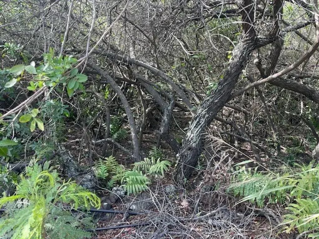 Holowai St, Naalehu
