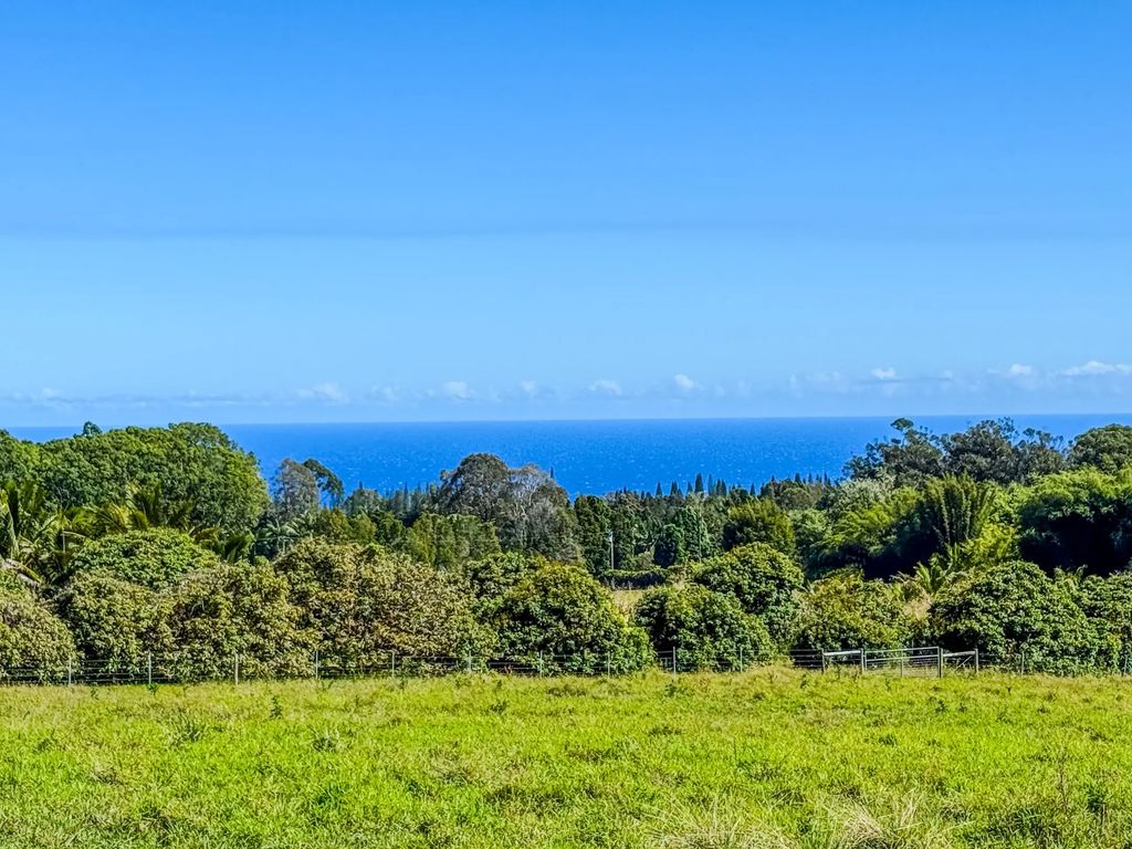 29-613 Chin Chuck Rd, Hakalau