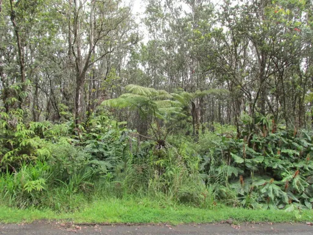 11-3088 Puolani St, Volcano