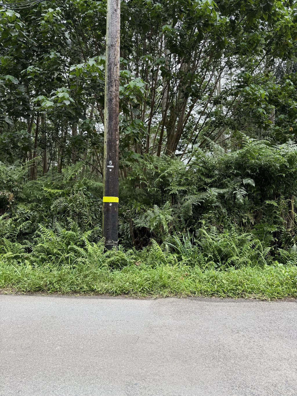 Pahoa, Pahoa