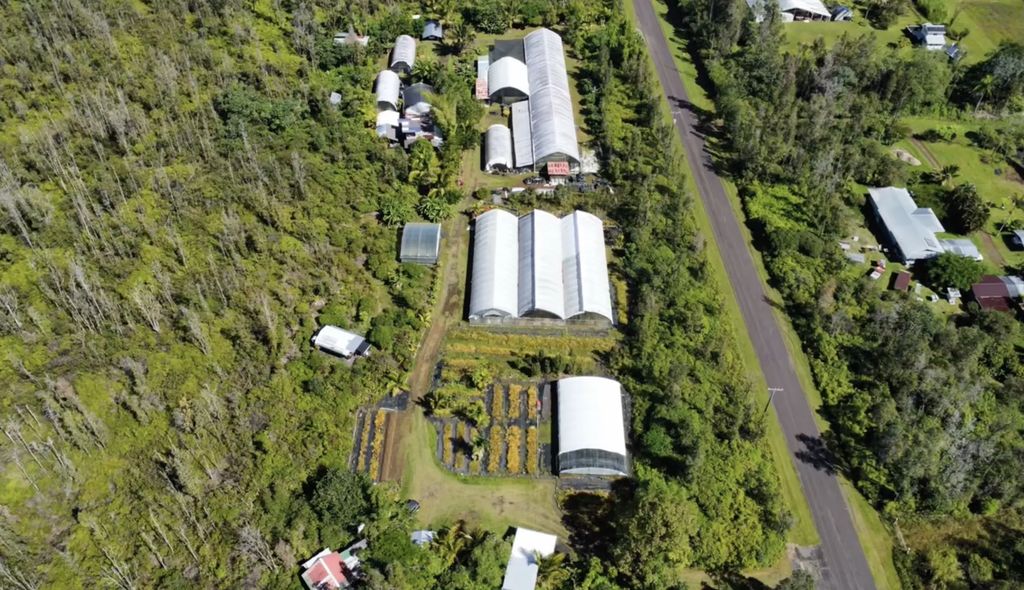 15-1300 Auina St, Pahoa