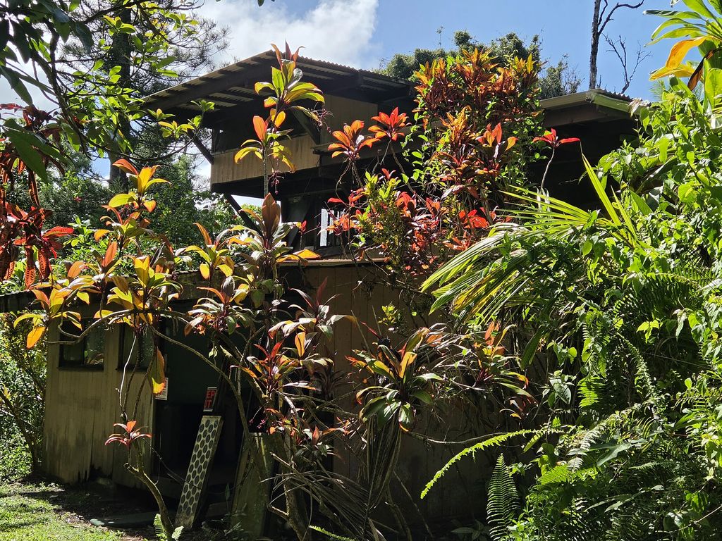 14-4767 Sadileck Rd, Pahoa