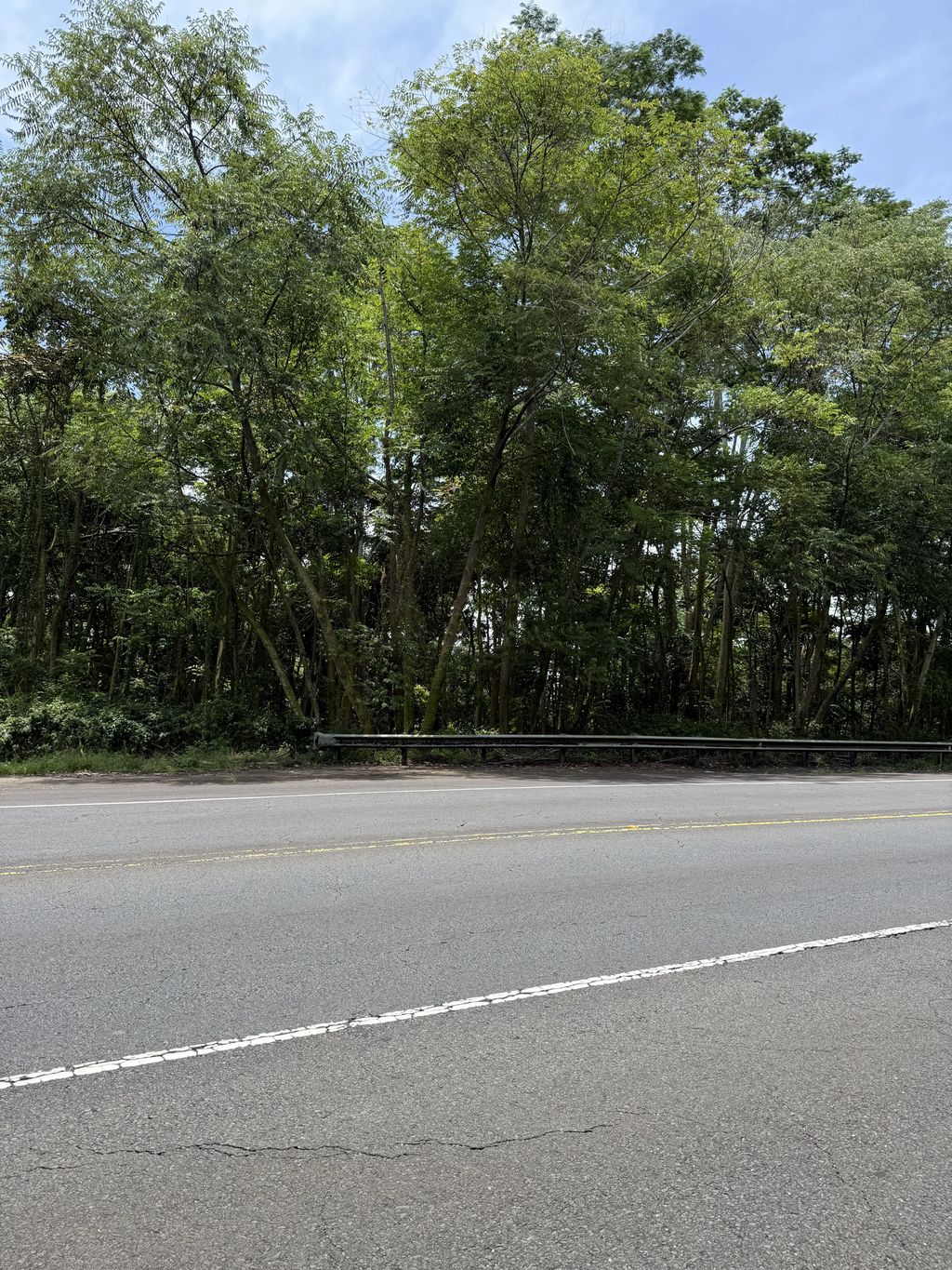 Puainako Extension, Hilo