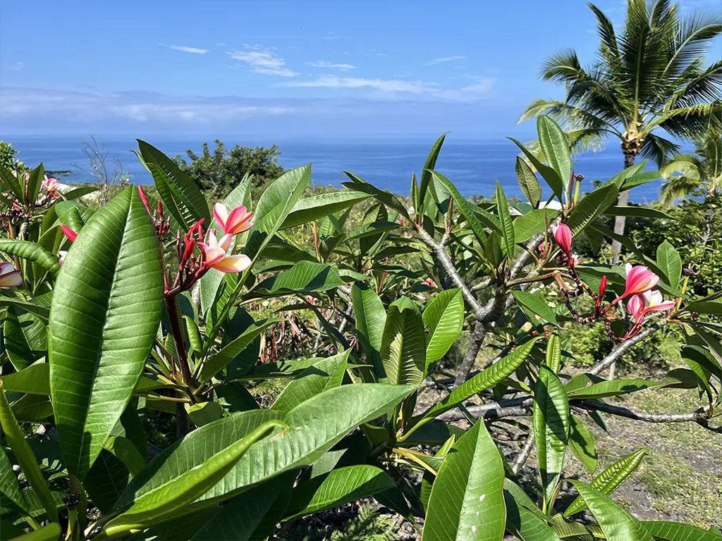 Kaohe Rd, Captain Cook