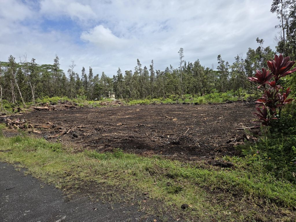 Plumeria Rd, Pahoa