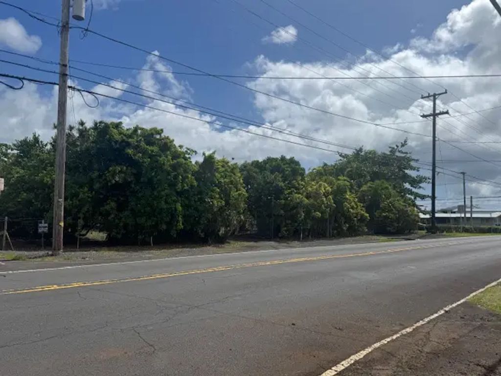 469 E Lanikaula St 1, Hilo