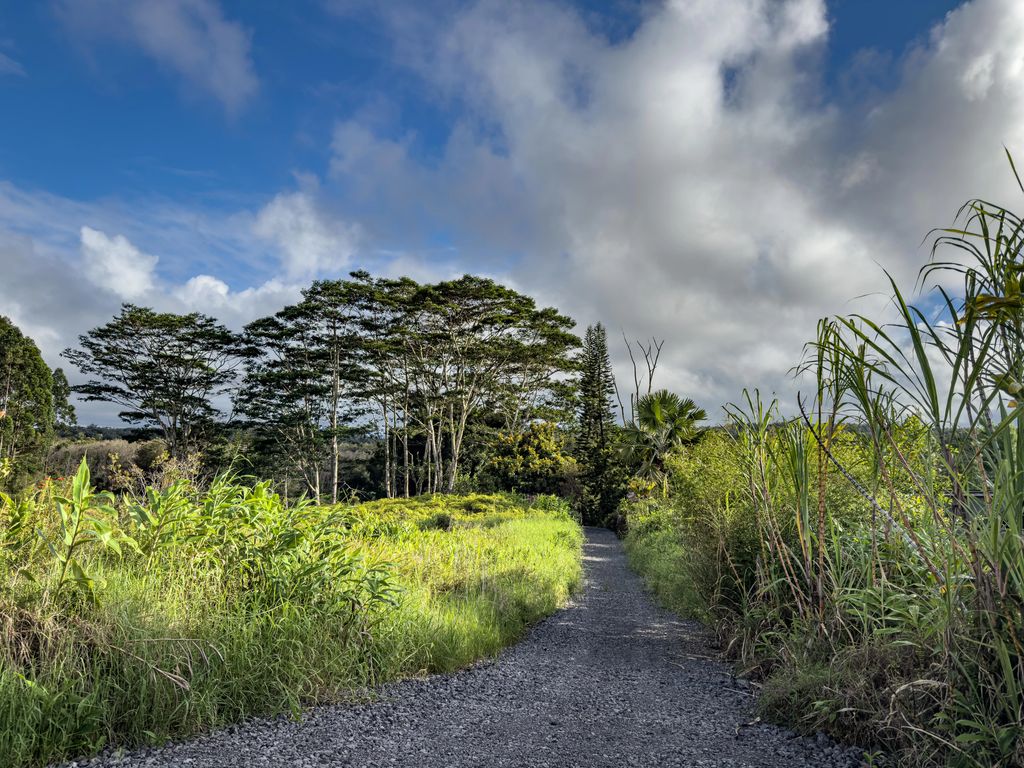 2883 Kaiwiki Rd, Hilo
