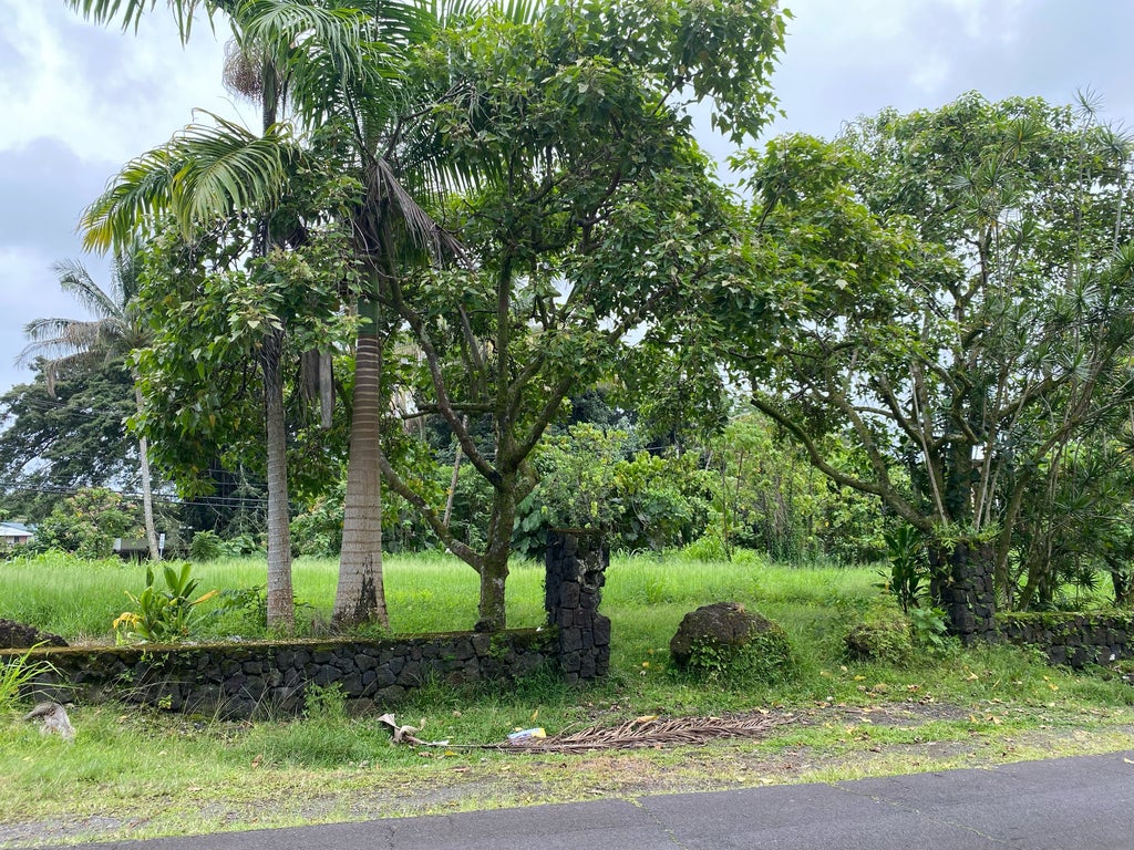 1391 Kalanianaole St, Hilo
