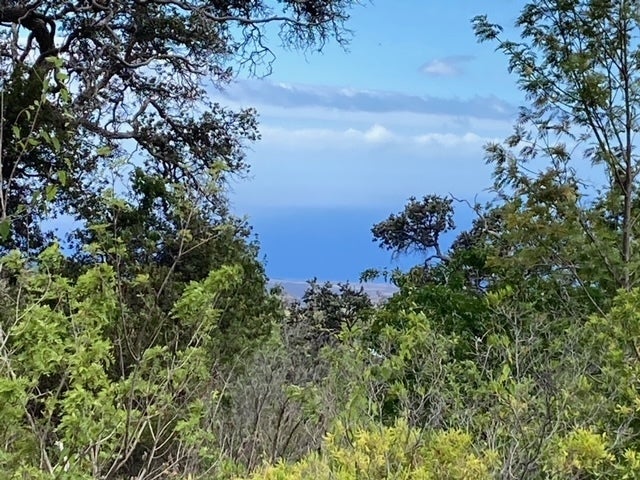 Walaka Dr, Ocean View