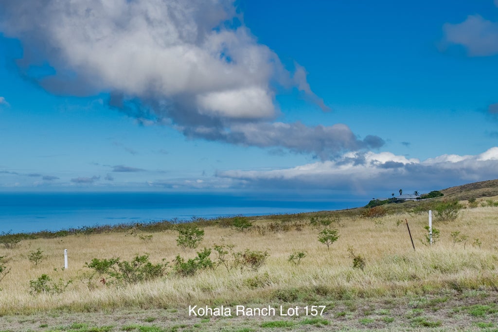 59-1009 Kohala Ranch Rd, Kamuela