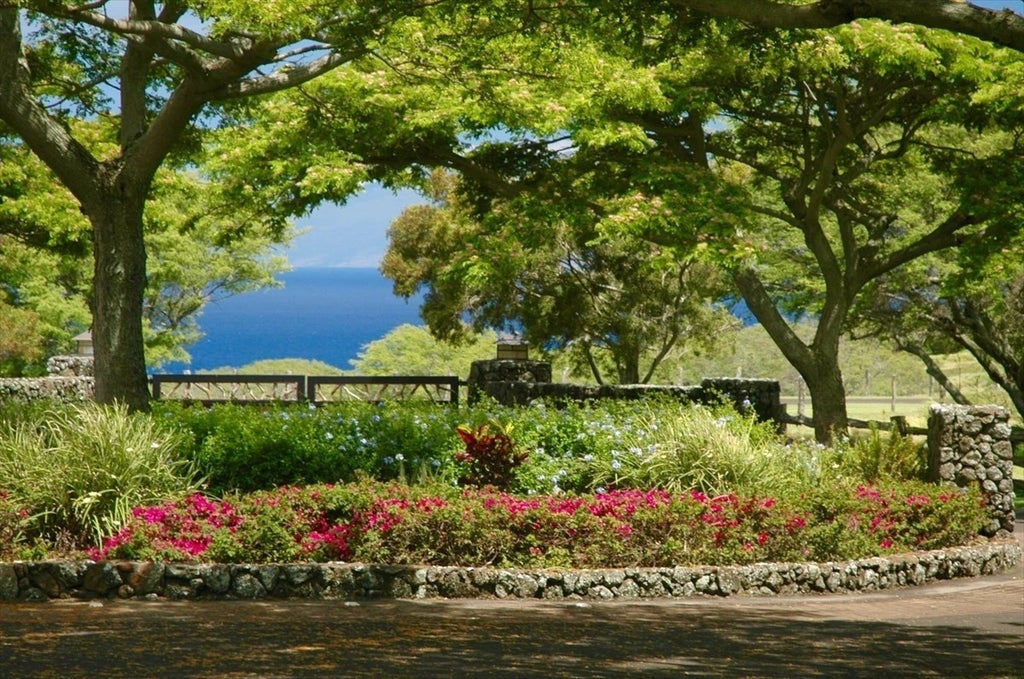 56-113 Pualani Road, Hawi