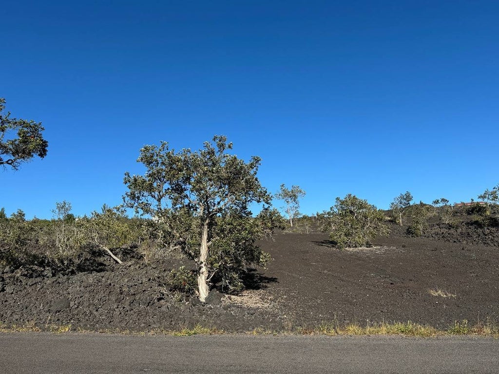 Orchid Pkwy, Ocean View