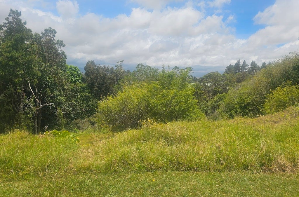 64-635 Kolohala Pl, Kamuela