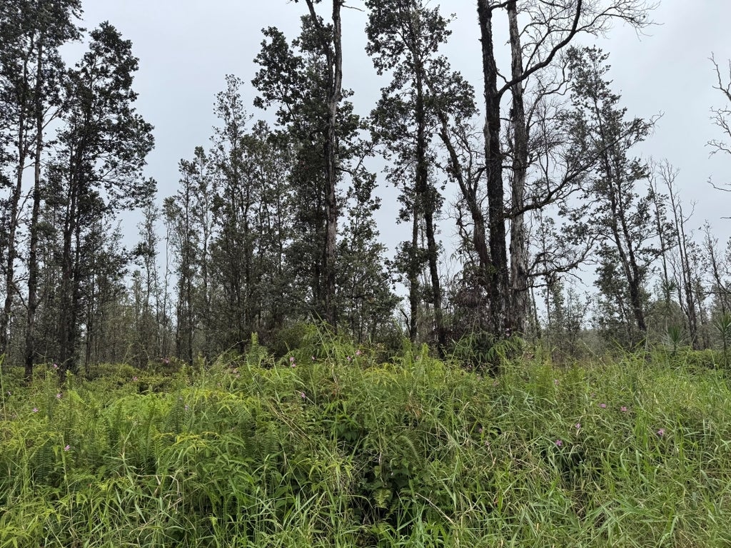 Road 4 (io Kea), Kurtistown