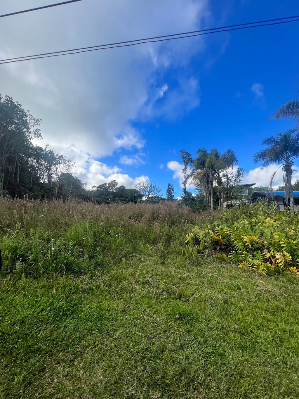 18-1268 Hawaii St, Mountain View