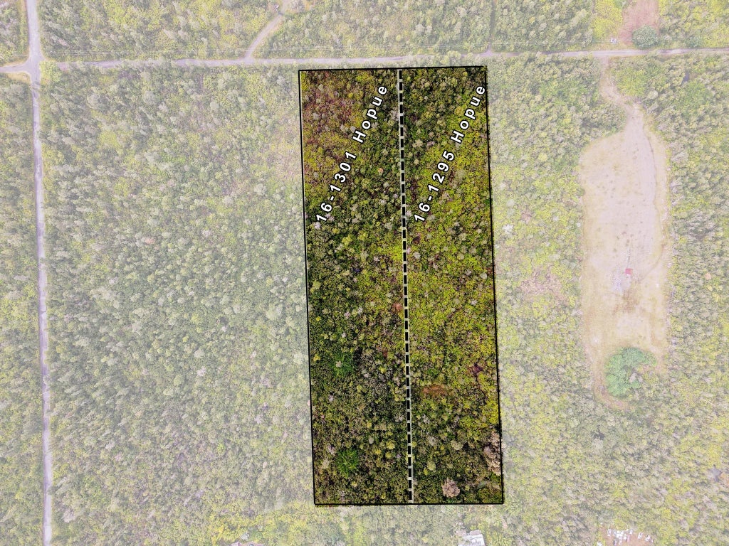 16-1295 Hopue Rd, Mountain View