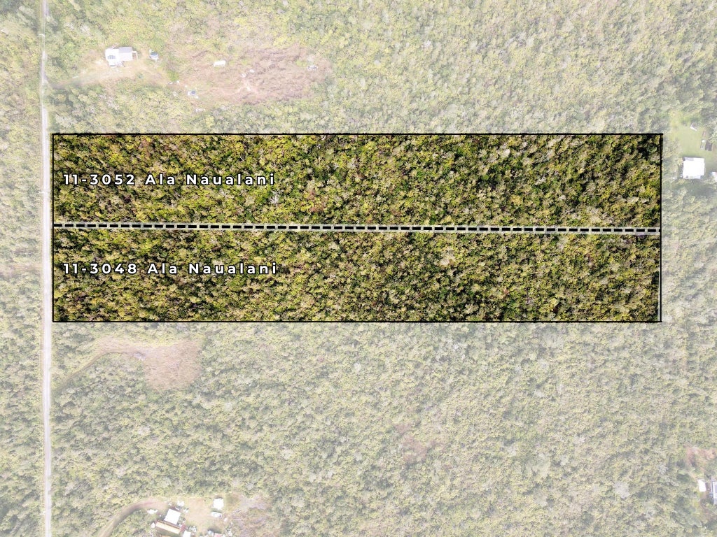 11-3052 Ala Naualani, Volcano