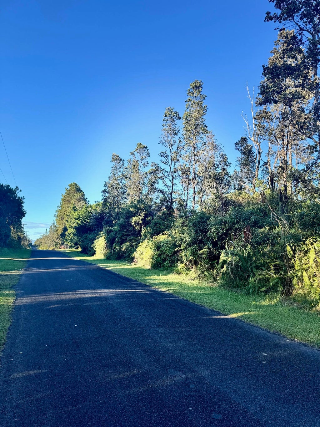 11-2830 Hibiscus St, Mountain View