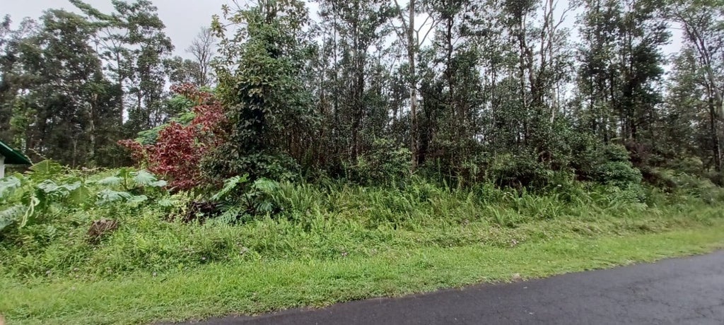 Hapuu Rd, Pahoa