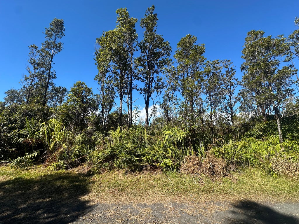 Wailele St, Mountain View