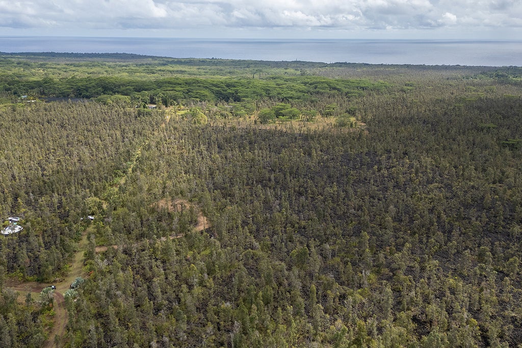 13-1037 Kamaili Rd, Pahoa