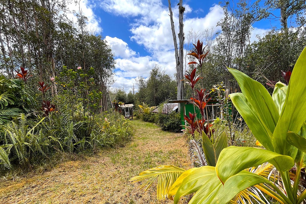 Kolea St, Mountain View