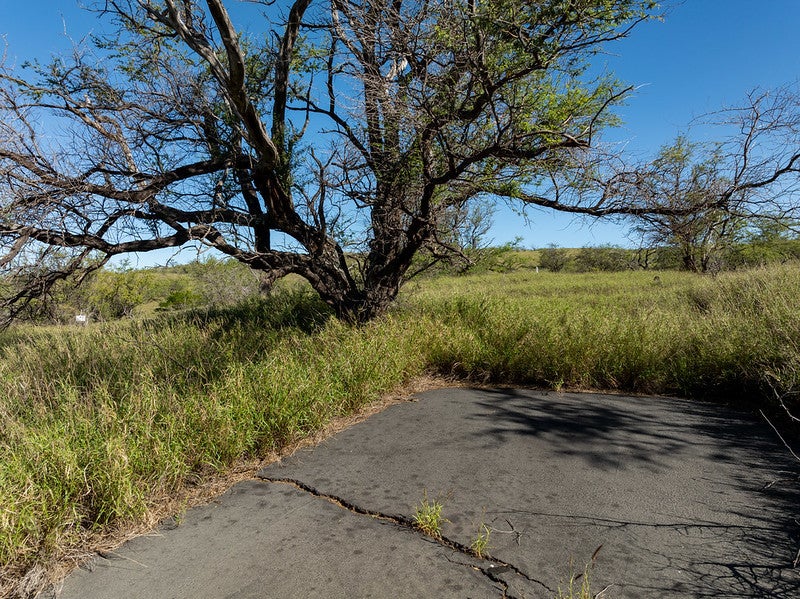 59-584 Awaa Pl, Kamuela