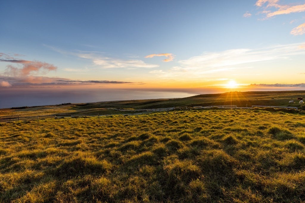 Kohala Ranch Rd, Kamuela