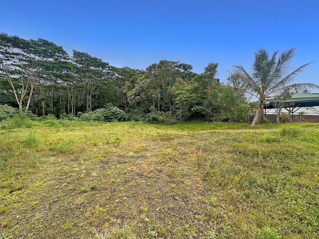 939 Kaumana Dr, Hilo