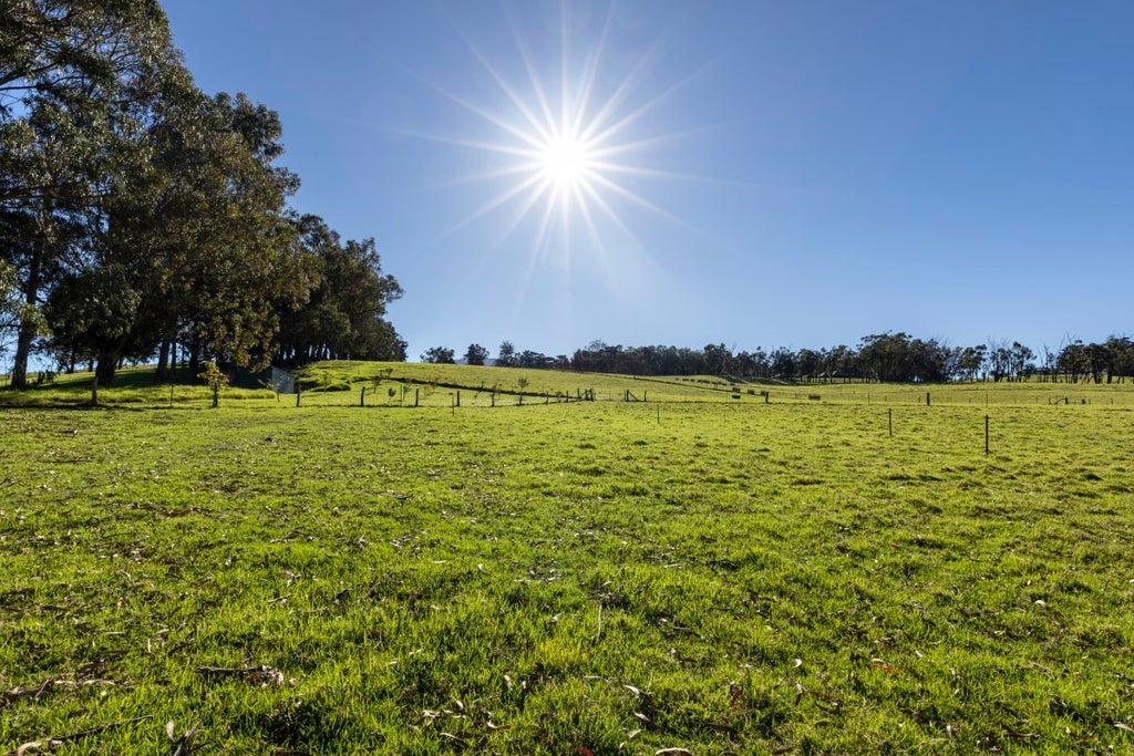 67-1009 Keamuku Rd, Kamuela