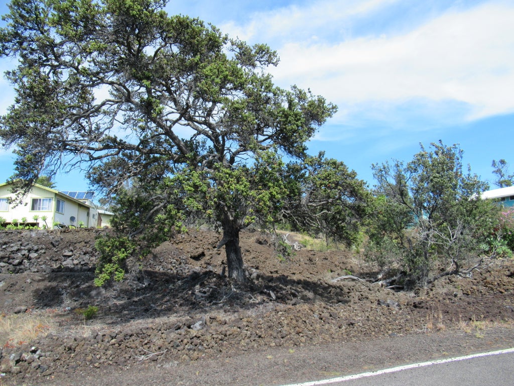 92-1577 Donola Dr, Ocean View