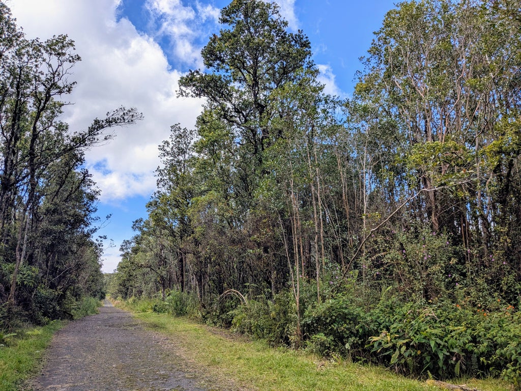 11-1854 Mikana St, Mountain View