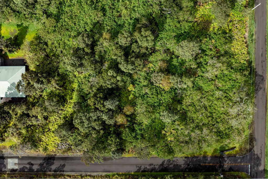 19-3140 Mamaki Ln, Volcano