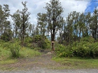 11-3214 Laupaka Rd, Volcano
