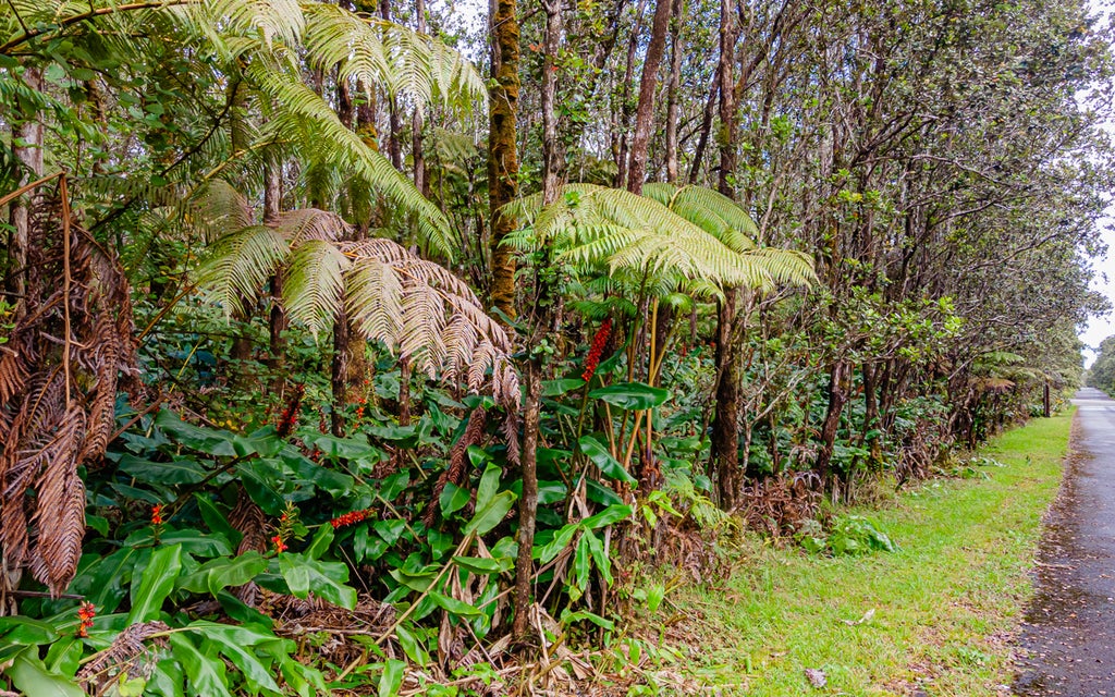 11-3849 9th St, Volcano