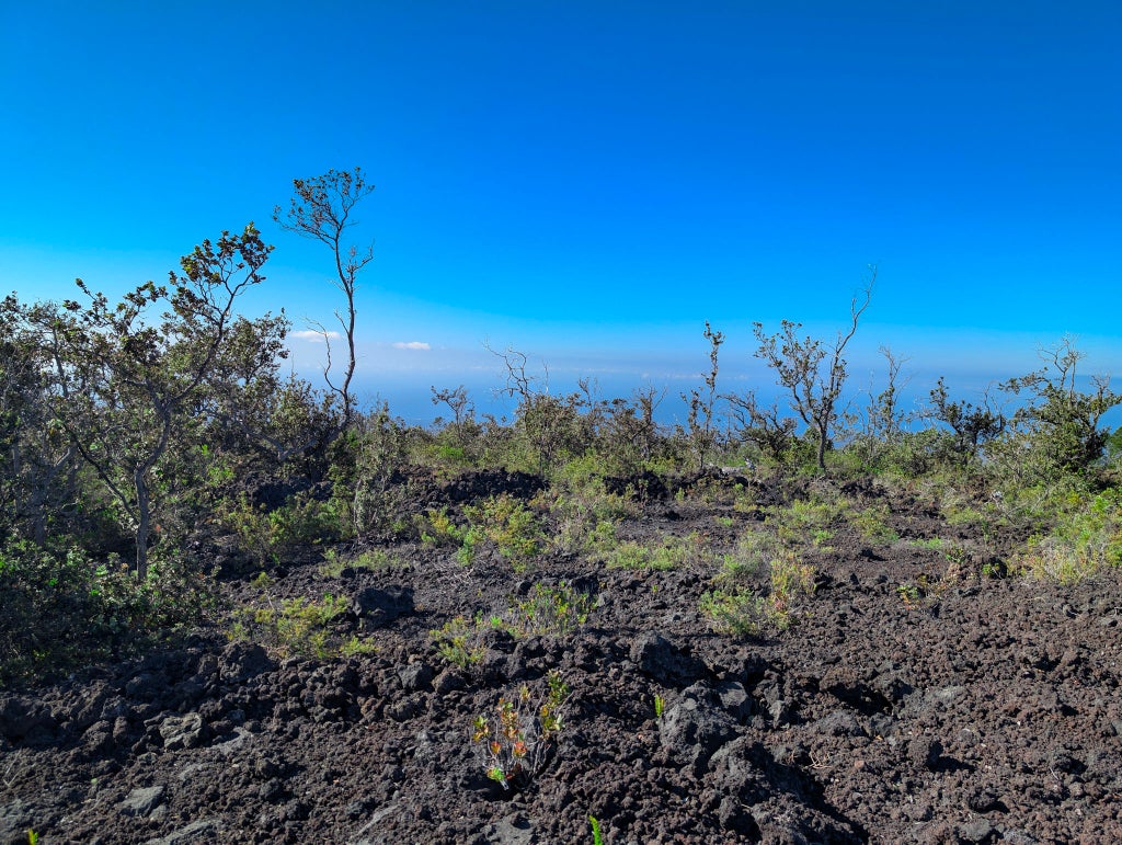 Reef Cir Makai, Ocean View