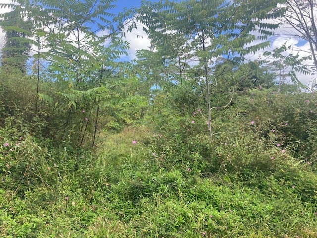 14-3481 Shell Rd, Pahoa